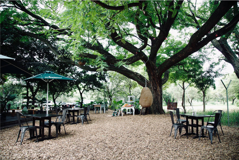 Vula Food Shack fruit vegetables