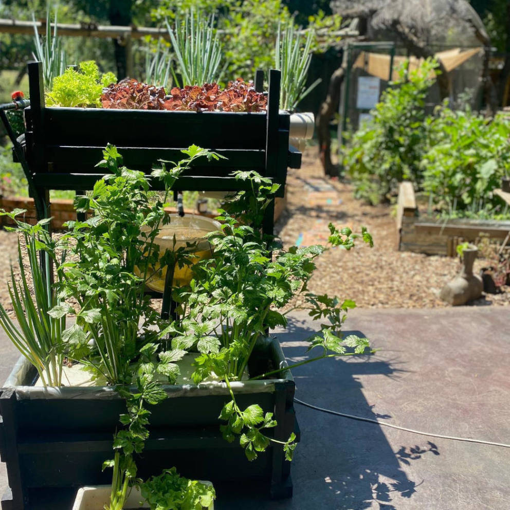 Vula Food Shack fruit vegetables